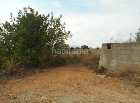 Foto 45874aca-a581-4b0a-b34d-dd3d16219b01. Finca rústica a Vilallonga / Villalonga