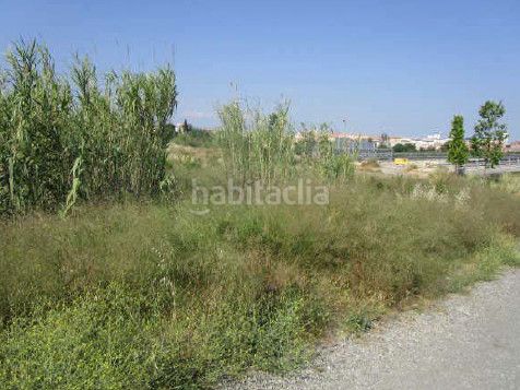 Foto 9130f52f-0659-4724-8aa3-0ade0ffd88f3. Finca rústica a Can Rull Sabadell