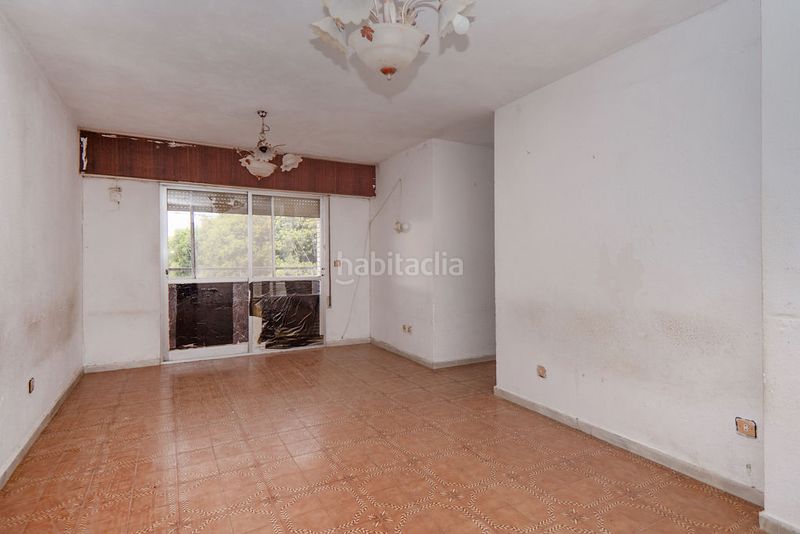 Foto e13eabcb-f5ed-4425-b357-797b221f5a1c. Pis a Pulpí