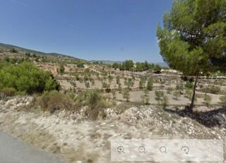 Rural plot  Ptda de la foya de catalina. Solvia inmobiliaria  suelo rústico castalla