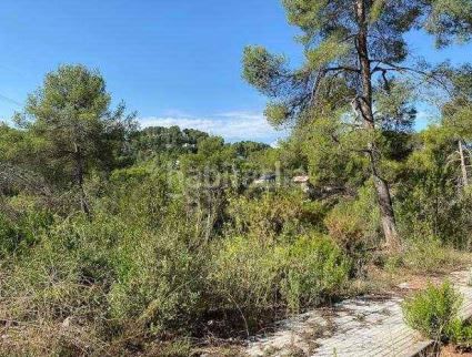 Foto 7310b299-6b7c-4ce0-b19c-801545f1ec66. Finca rústica a Corbera de Llobregat
