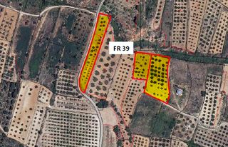 Fondo rustico  Pt ptdos. escaleta y ortetes. Solvia inmobiliaria  suelo rústico pinet