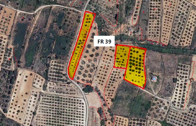Foto 4675aa82-9b19-4d0c-95d7-14ea034acb27. Finca rústica a Pinet