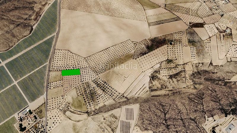 Foto 9b904fb3-e2da-43fd-9972-1fa5be58c20f. Finca rústica a Jumilla
