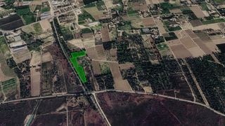 Finca rústica  Paraje cachap. Solvia inmobiliaria  suelo rústico crevillent