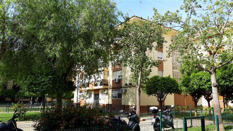 Foto d2b733c4-3535-4eb7-8c8f-595d17d2f888. Pis a Parque Alcosa Sevilla