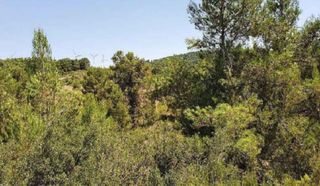 Propriété  C/ dehesa de mojón blanco. Solvia inmobiliaria  suelo rústico almansa