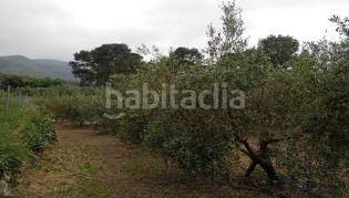 Foto b229bf98-53a9-49d2-b7cb-efb3eeef0a5f. Finca rústica a Terrateig