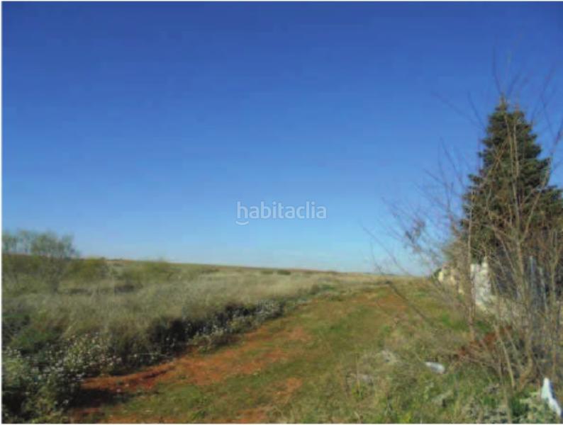 Foto a3cc223c-a2ff-4218-bbca-96dbd5230af7. Fondo rustico in Villanueva de la Torre