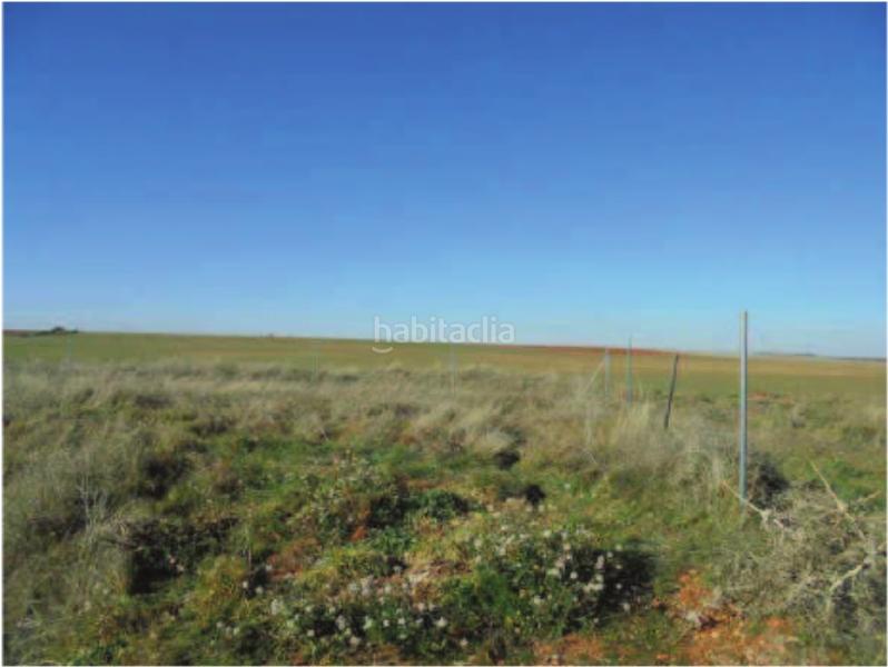 Foto d923457f-7c9b-40e7-9119-f5688b742a07. Fondo rustico in Villanueva de la Torre