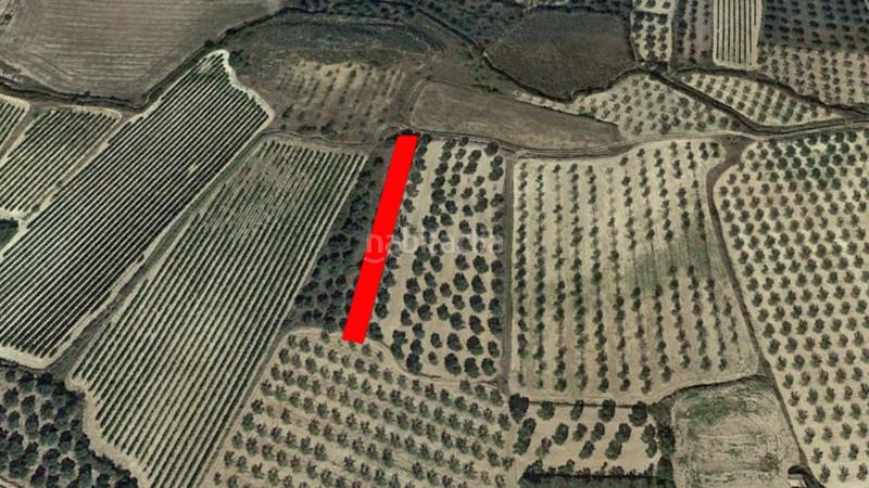 Foto da6ce365-2b06-4645-8c5a-73381b5bc196. Finca rústica solvia inmobiliaria suelo rústico en Borja