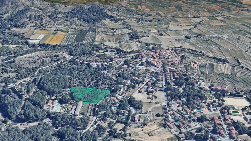 Foto e359bc4d-9242-4e83-859b-e25100a781a2. Finca rústica a Almoster