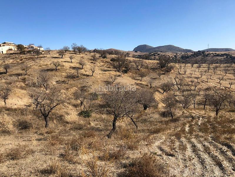 Foto 590bbc8a-2da3-4eaa-ba5a-64ab8a7b13d8. Landgut in Huércal - Overa