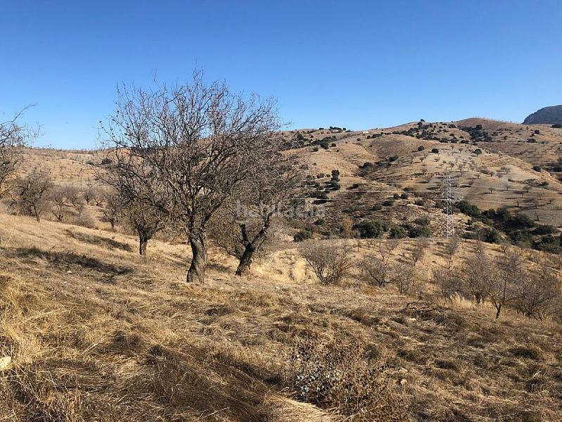 Foto 8d443937-a4fb-4a43-a59e-ea47779153f6. Landgut in Huércal - Overa