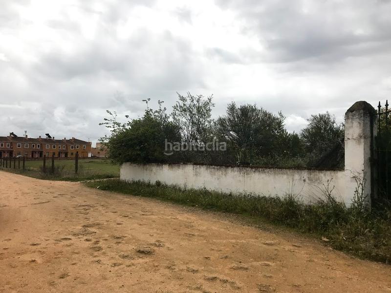 Foto 212c5068-dc4e-42cc-b37a-40d0d9bcf82f. Finca rústica a La Hacienda - Nueva Andalucía Dos Hermanas