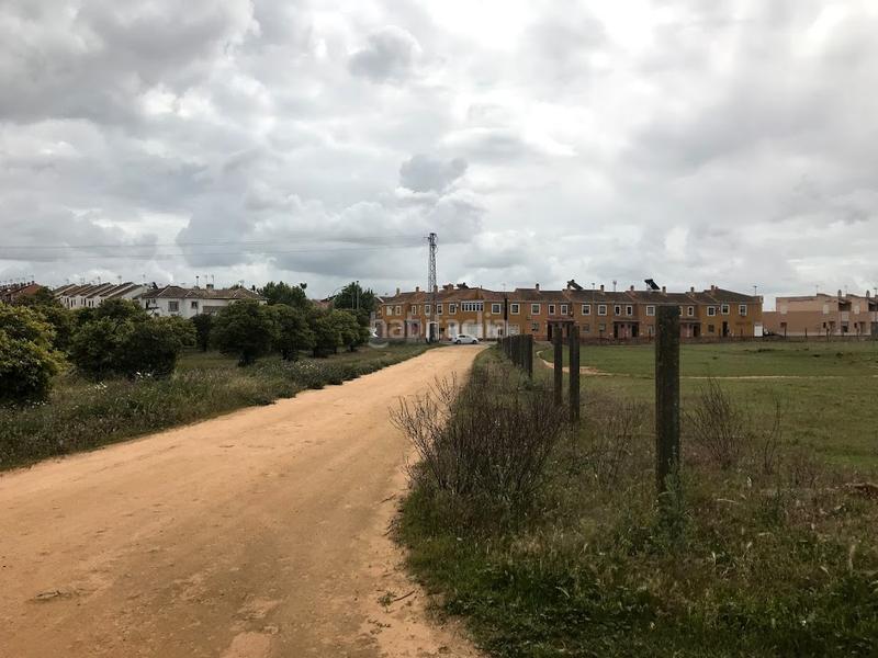 Foto 45d24c86-9e67-4b77-b109-3bc0c3f64533. Finca rústica a La Hacienda - Nueva Andalucía Dos Hermanas