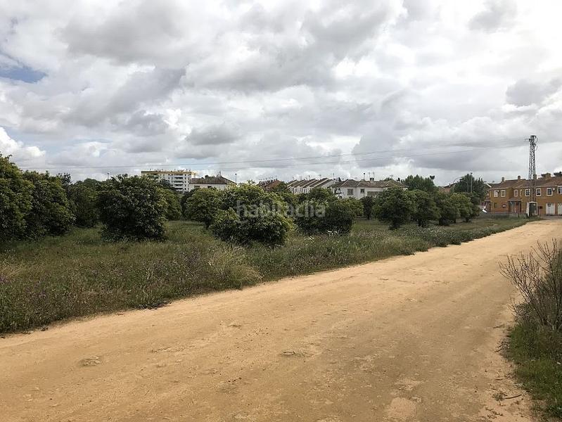 Foto 65c617d0-55e2-4316-8cef-ade64e15d279. Finca rústica a La Hacienda - Nueva Andalucía Dos Hermanas