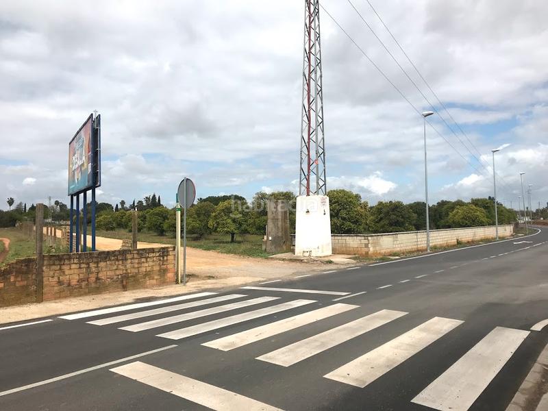 Foto a60ef646-7b30-48e6-b6c2-e2d7c6a86bb8. Finca rústica a La Hacienda - Nueva Andalucía Dos Hermanas