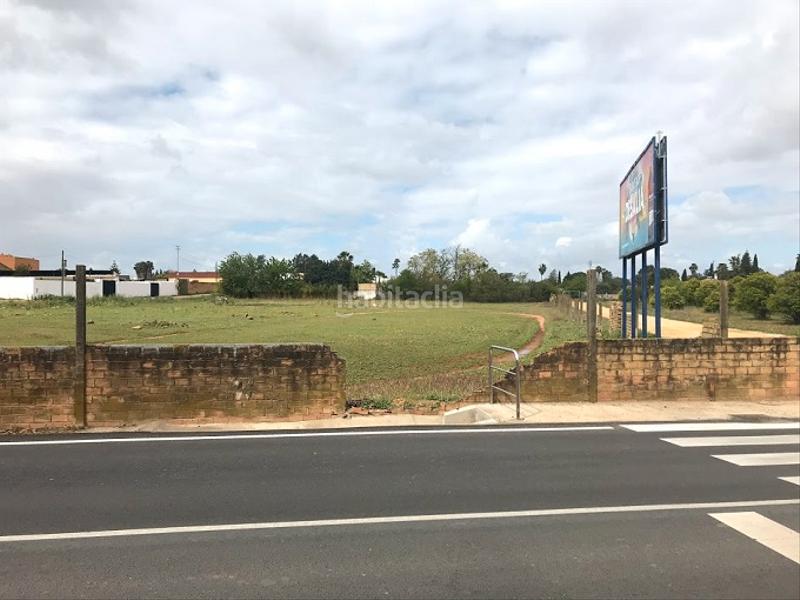 Foto ee9ab72f-387c-4e01-b06c-fe7c07d991c3. Finca rústica a La Hacienda - Nueva Andalucía Dos Hermanas