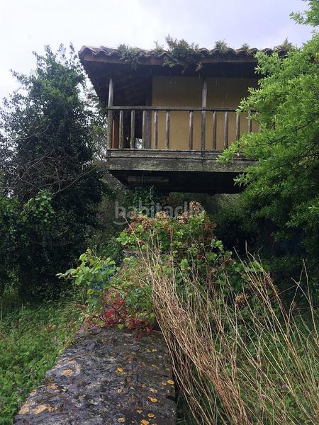 Foto 564df8b3-b3e9-46c1-9a58-8ab2b6d6fdce. Finca rústica solvia inmobiliaria suelo rústico en Villaviciosa