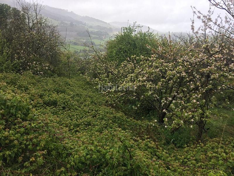 Foto 5dea3a5b-b0ee-4f0a-8c44-98a7562a3d27. Finca rústica solvia inmobiliaria suelo rústico en Villaviciosa