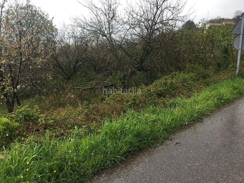 Foto 62d12dca-ddd1-47a7-bd85-4b66f425b801. Finca rústica solvia inmobiliaria suelo rústico en Villaviciosa