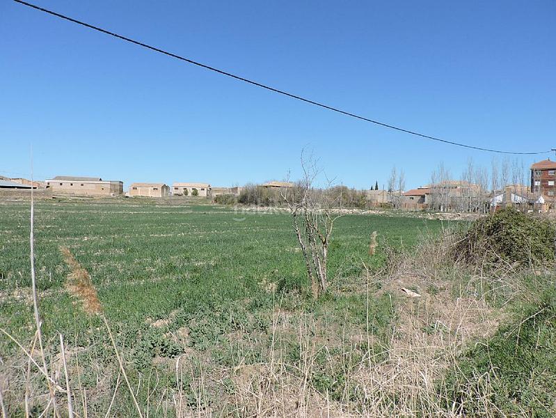 Foto 8efed7d5-55e8-4fc4-b3fb-5dc2057d4c87. Finca rústica a Sádaba