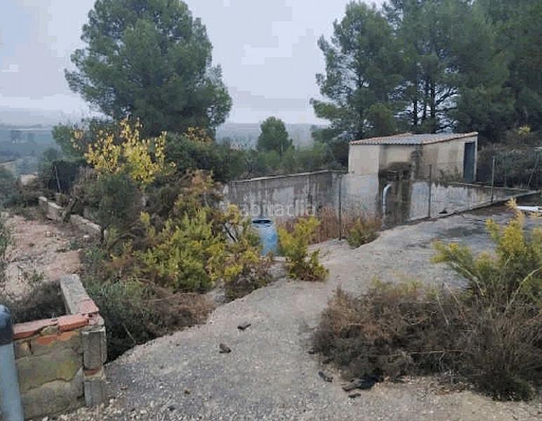 Foto 306fe196-bfdd-4c48-b92e-2fca68907543. Finca rústica a Favara Valencia