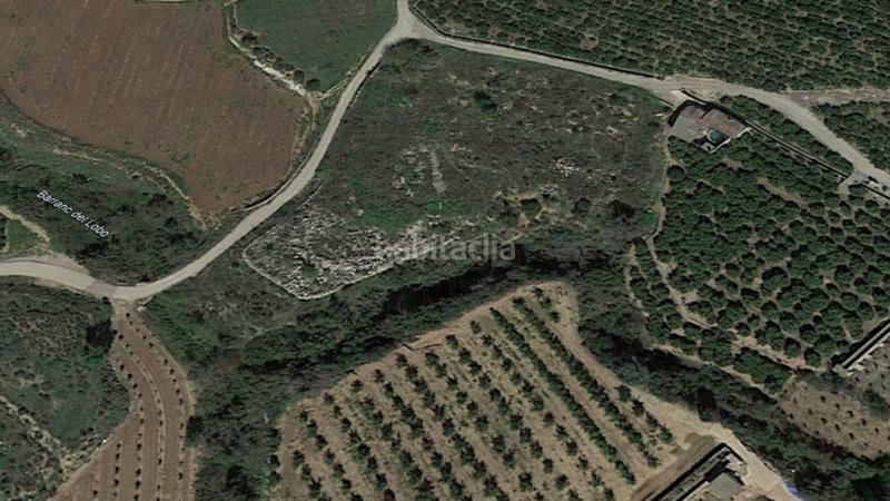 Foto 23622b41-c34d-41d7-a329-89f760d2e96a. Finca rústica solvia inmobiliaria suelo rústico càrcer en Cárcer