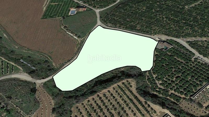 Foto bfe48d7e-d048-452a-91e6-b84580a099a6. Finca rústica solvia inmobiliaria suelo rústico càrcer en Cárcer