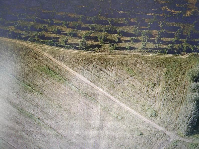 Foto 6a69bedd-2098-45f0-8eb9-8c0f2e5a5606. Fondo rustico in Nuevo Bulevar Mairena del Aljarafe