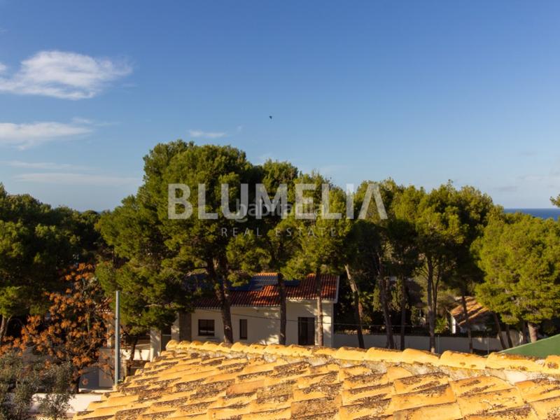 Foto 920ae551-a174-4480-9379-81ae86ffa1ea. House with parking pool in Las Rotas / Les Rotes Dénia