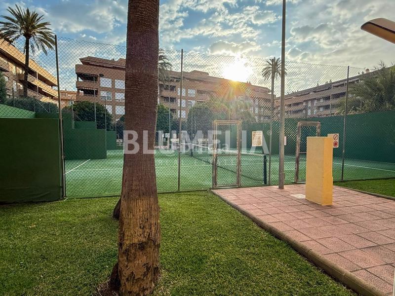 Foto 0358ce84-6a39-43d9-b497-144cf17bbc72. Alquiler apartamento  en el puerto en alquiler de larga temporada en Dénia