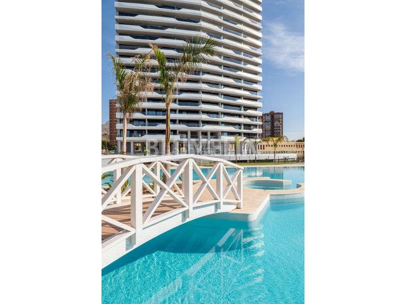 Foto 3b528253-a804-4d5a-b7fa-4589e9f2da10. Apartament amb calefacció aparcament piscina a Playa Poniente Benidorm