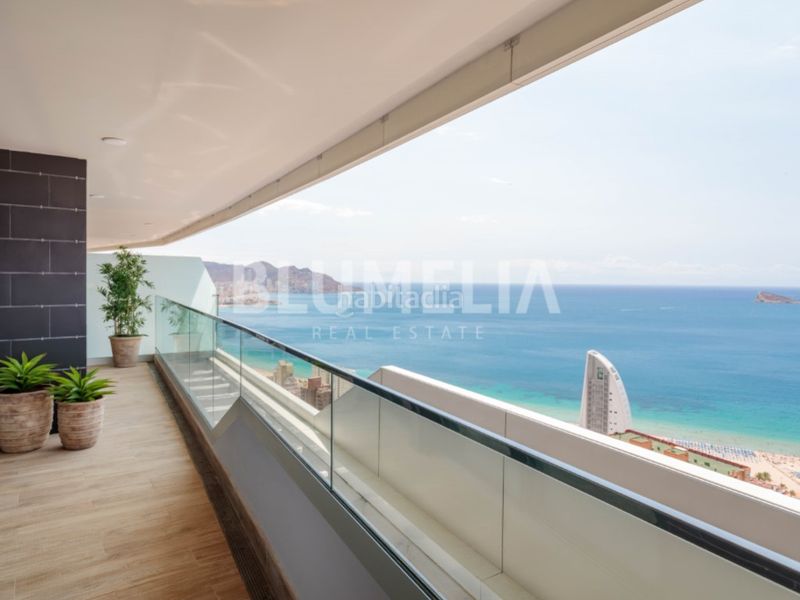 Foto 660847d8-713d-4395-b4e7-c36dcb1c7fb9. Apartament amb calefacció aparcament piscina a Playa Poniente Benidorm