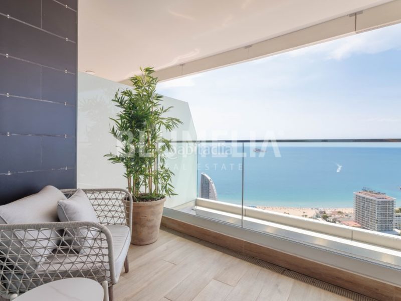 Foto e978e61d-27ce-4af4-bd78-36dd1877c27d. Apartament amb calefacció aparcament piscina a Playa Poniente Benidorm
