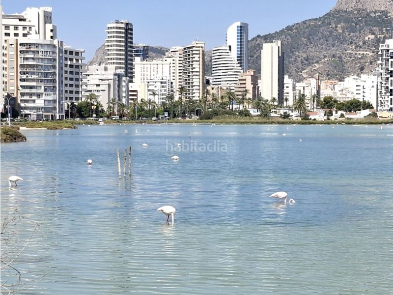 Foto d69c382e-dd31-4eed-90a5-a57437f33050. Apartament a Playa Arenal - Bol Calp