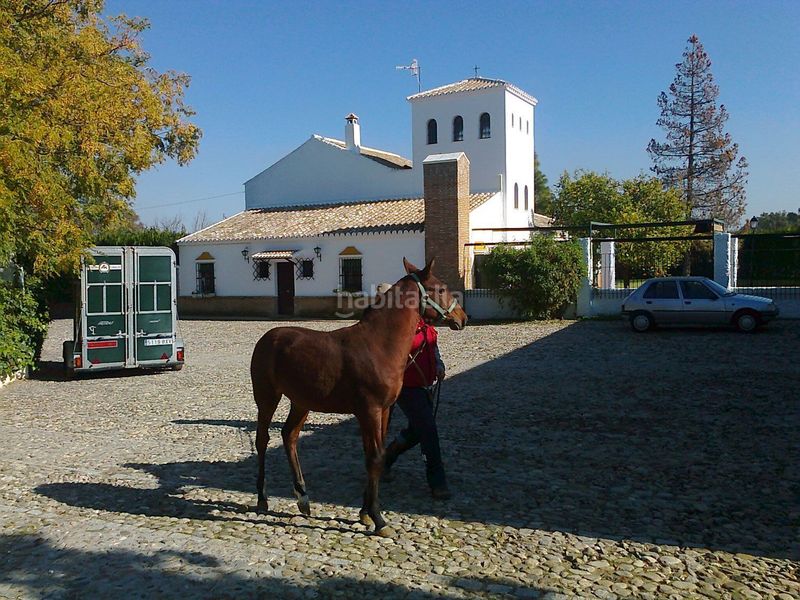 Foto 7139f285-f973-470a-9451-026cac03f9d6. Masia amb xemeneia piscina a Marchena