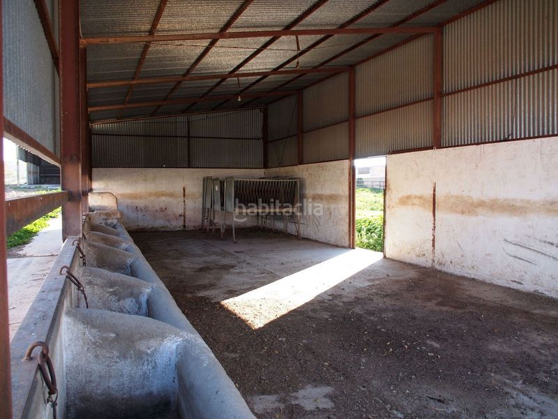 Foto a75630b9-41da-4aed-a213-a1a24b527532. Masia amb xemeneia piscina a Marchena
