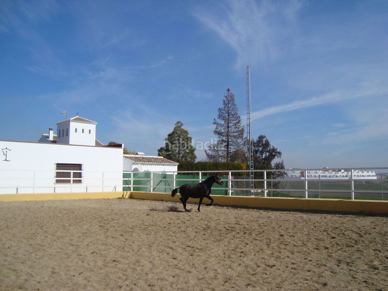 Foto f67a6c44-772b-4dc9-a004-96c9d51eb1d9. Masia amb xemeneia piscina a Marchena