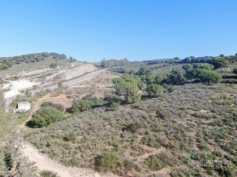 Foto e66beefe-bbff-417f-a924-1a3fcff1354a. Propriété dans Arcos de la Frontera