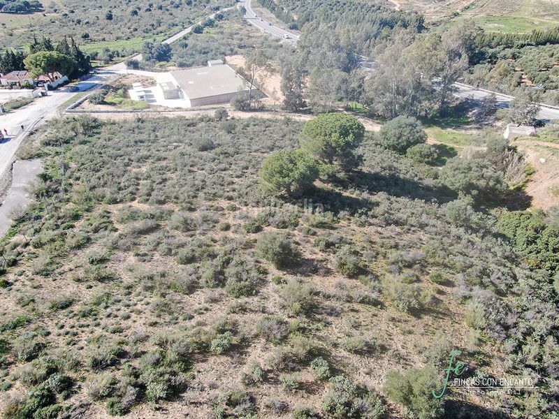 Foto e7338b68-b86a-4f7c-bedb-b0fb203689ba. Propriété dans Arcos de la Frontera