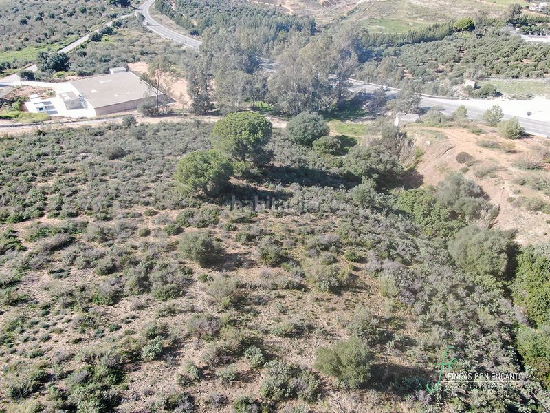 Foto f1178342-7fe7-4b4a-b0c9-15ccee700a54. Propriété dans Arcos de la Frontera