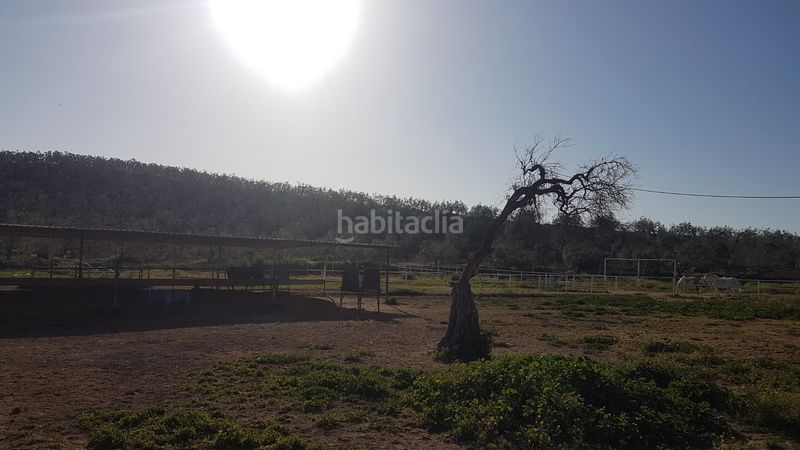 Foto 02583a33-90a5-401e-bd3e-b41d43e3e800. Finca rústica a Sanlúcar la Mayor