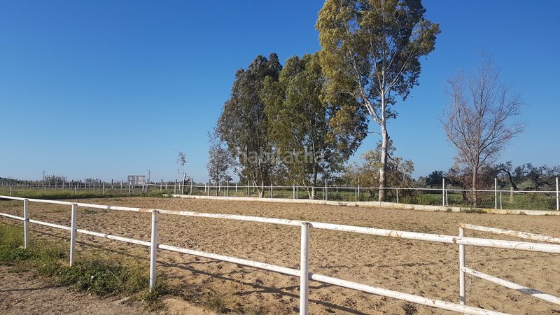 Foto 0ee73583-75c1-44ec-bf07-52b4229a03c5. Finca rústica a Sanlúcar la Mayor