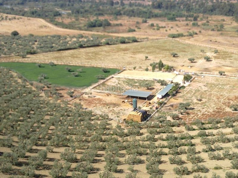 Foto 3353f584-7d8a-4de4-9145-566659acc8f1. Finca rústica a Sanlúcar la Mayor