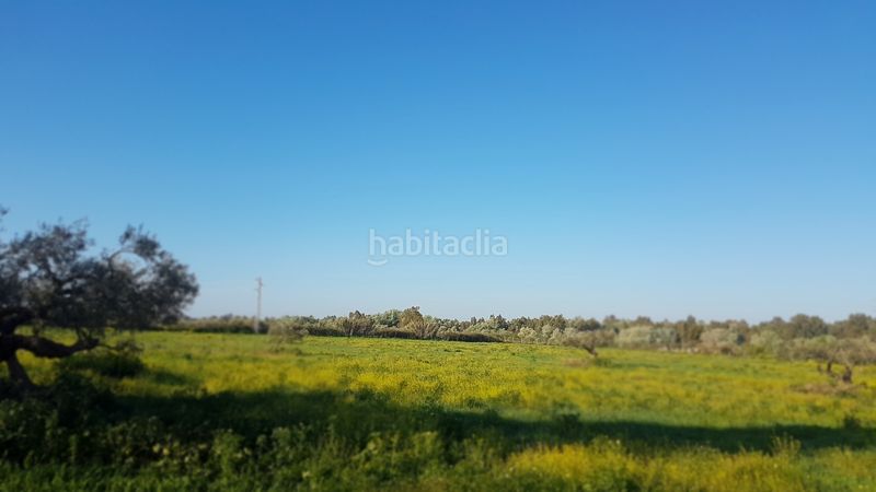 Foto 3a0a55a9-2a51-4fd8-8cc6-d72a733a8e55. Finca rústica a Sanlúcar la Mayor