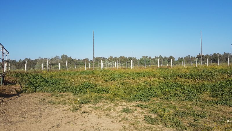 Foto 66d12852-5b6d-4394-b057-2aa9dd04152b. Finca rústica a Sanlúcar la Mayor