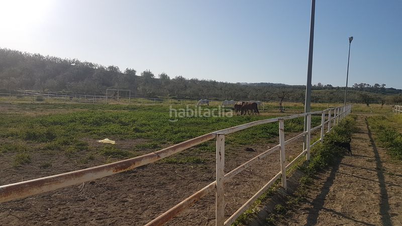 Foto 6e7a173b-57cd-4614-990c-f6588d994d47. Finca rústica a Sanlúcar la Mayor