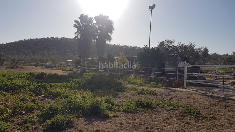 Foto 92e5fa1d-09bb-4815-8884-3067ecd5a842. Finca rústica a Sanlúcar la Mayor